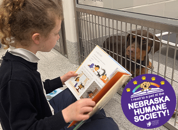 A kid reading a book in front of a dog kennel, with a dog listening to her.