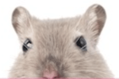 Screenshot 2025 07 22 At 12.22.43 PM