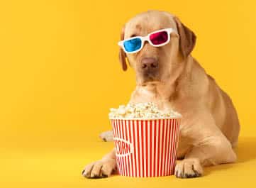 Movie Night Event Thumbnail