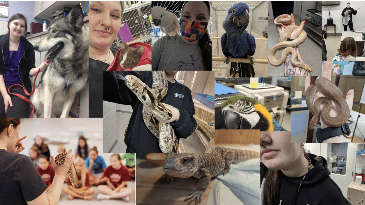 Several animals Whitney has worked with