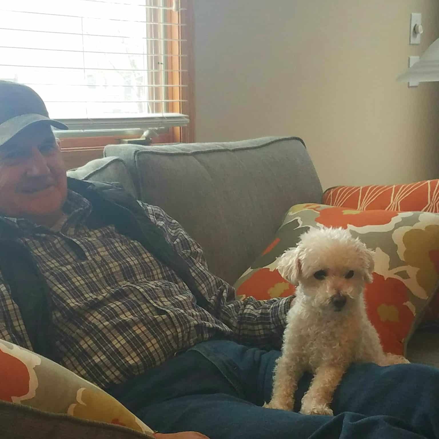 Charlie the dog sitting on a lap