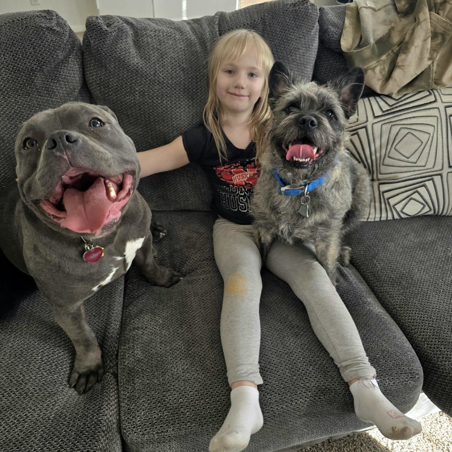 Momo sitting on a couch with a young child and another dog