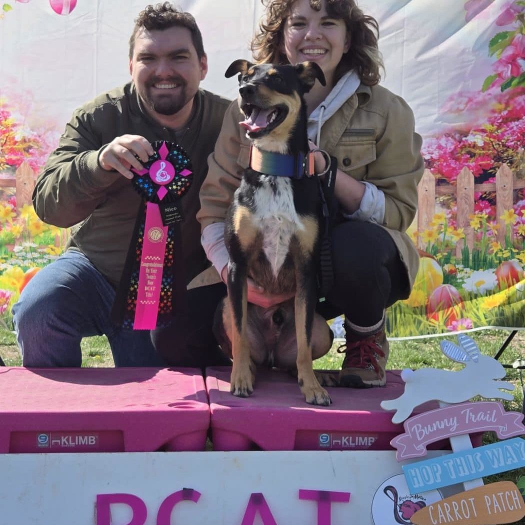 Couple with an award-winning dog
