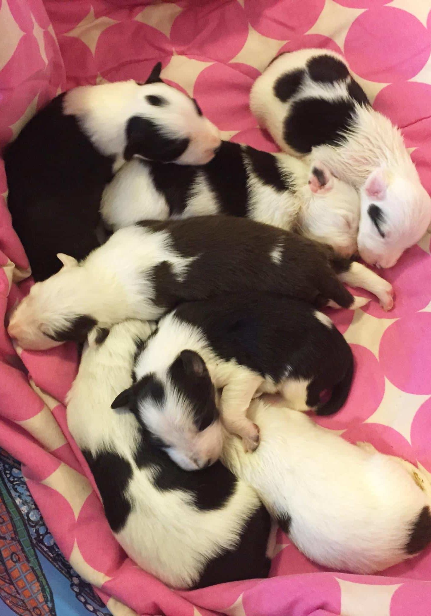 468506622 10160197582697027 1136295410531234169 N