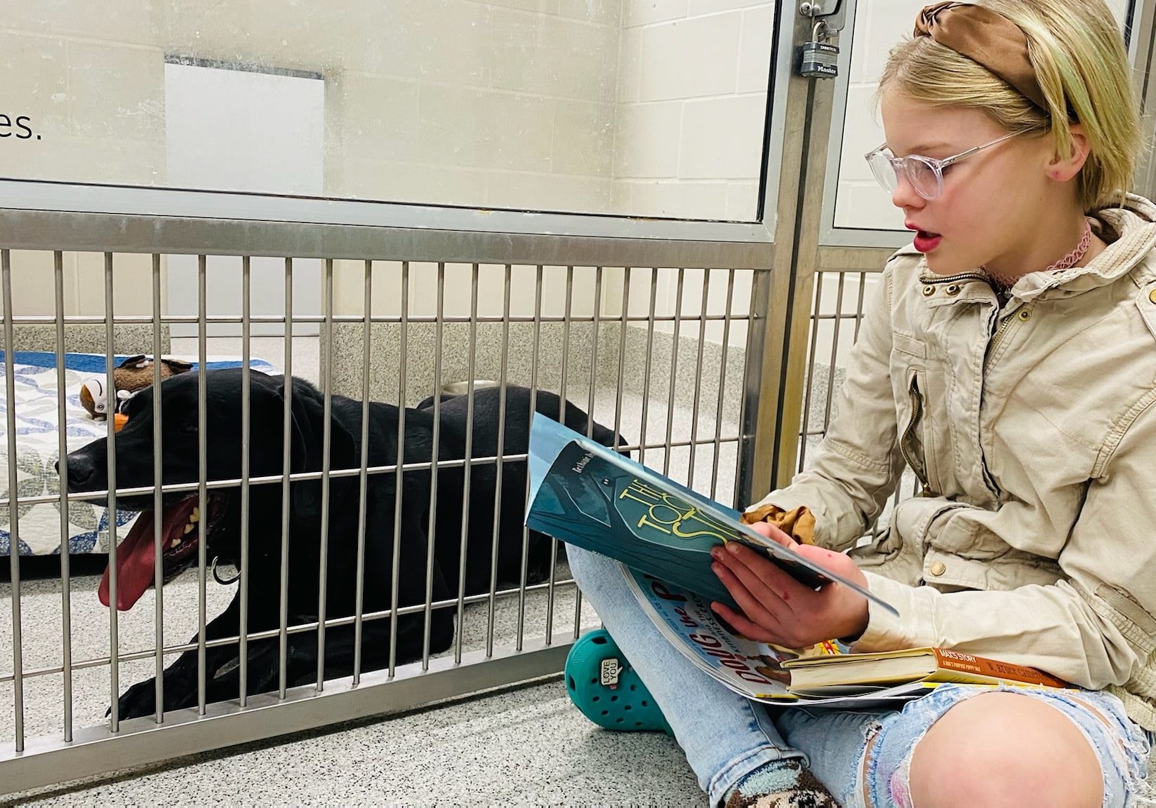 475158720 994606176036731 9180792767208131892 N