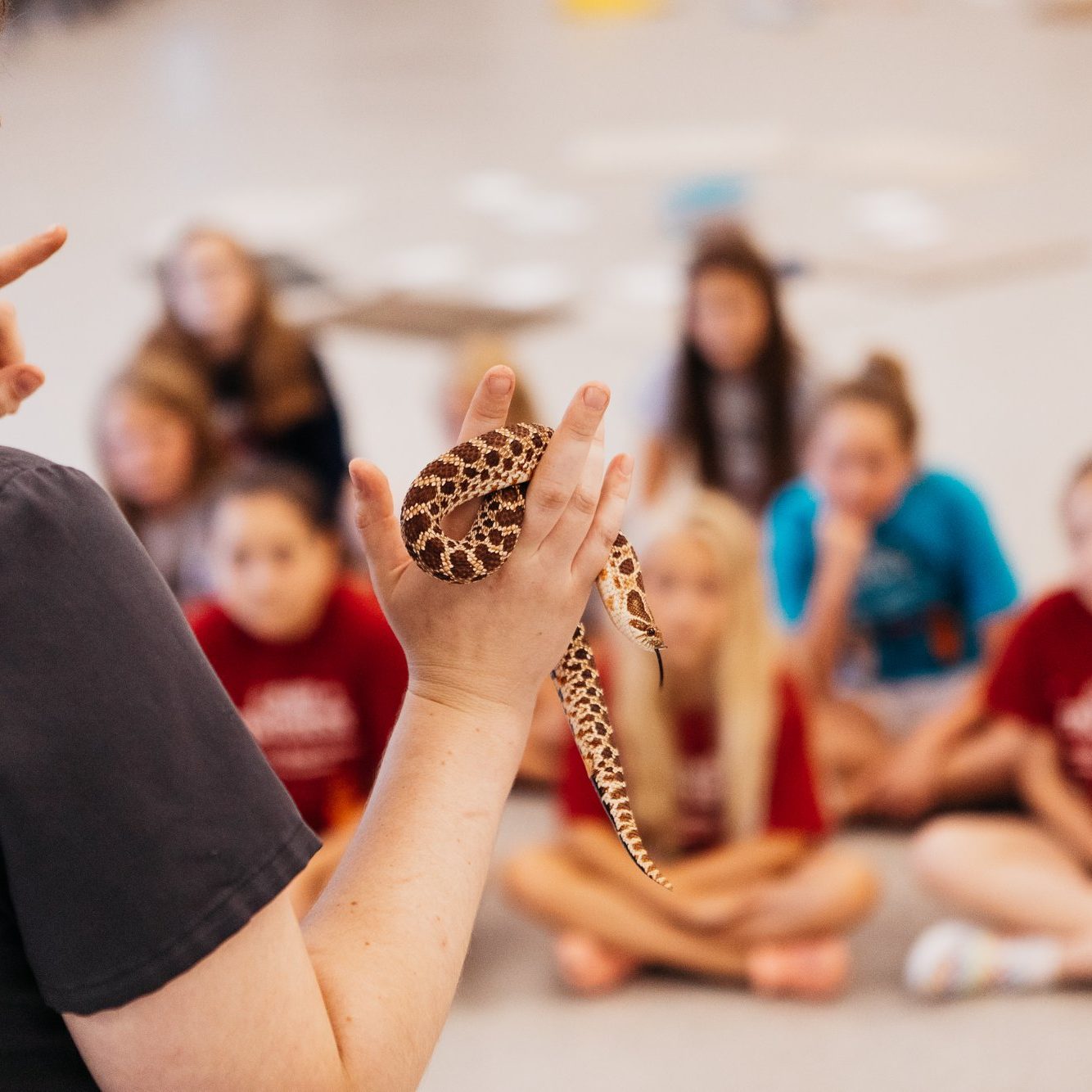 486608486 1082501620583460 7896018304697342200 N