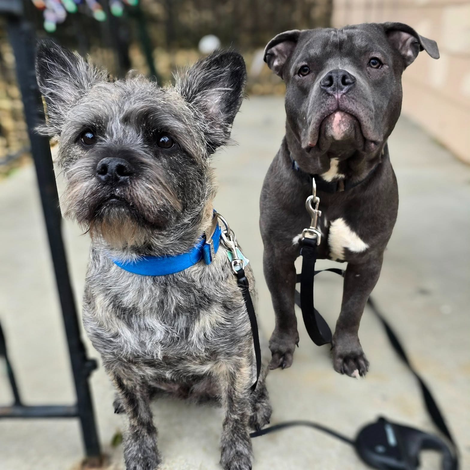 506249708 1144061541094134 2207911571055083210 N