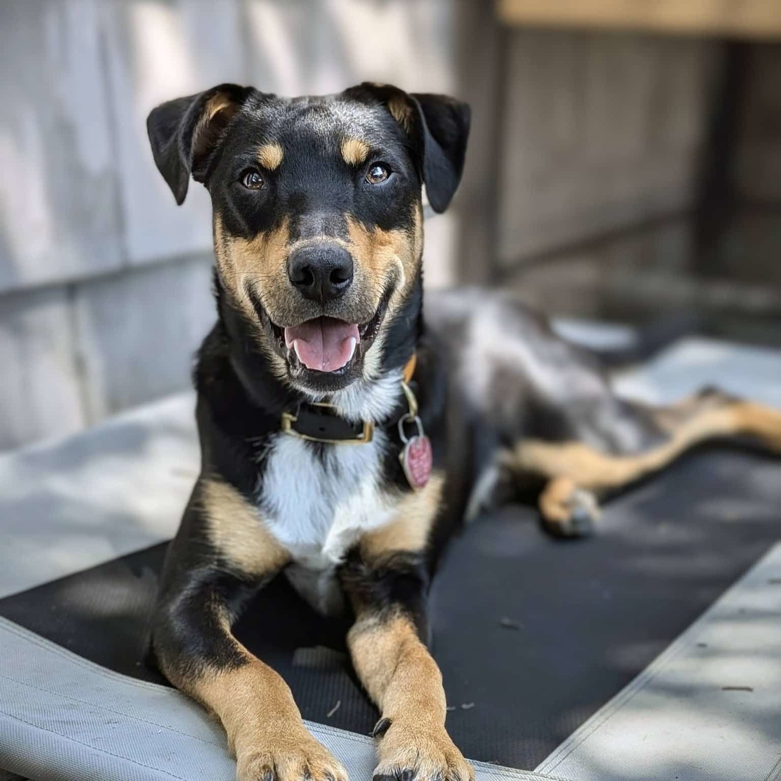 514353057 1160979592735662 187730655154539034 N