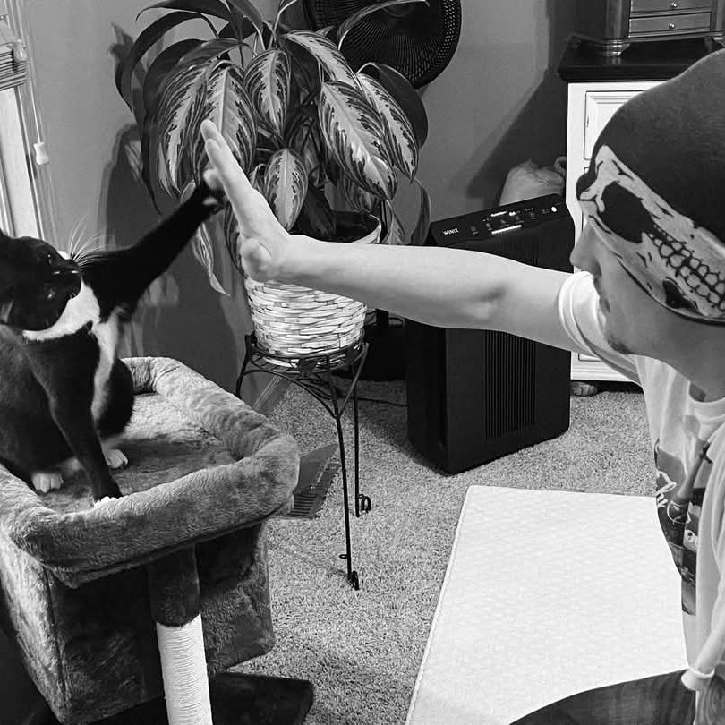 a person giving a cat a high five