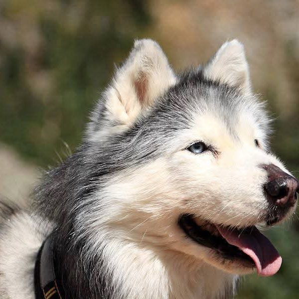 FB IMG 1747085350406