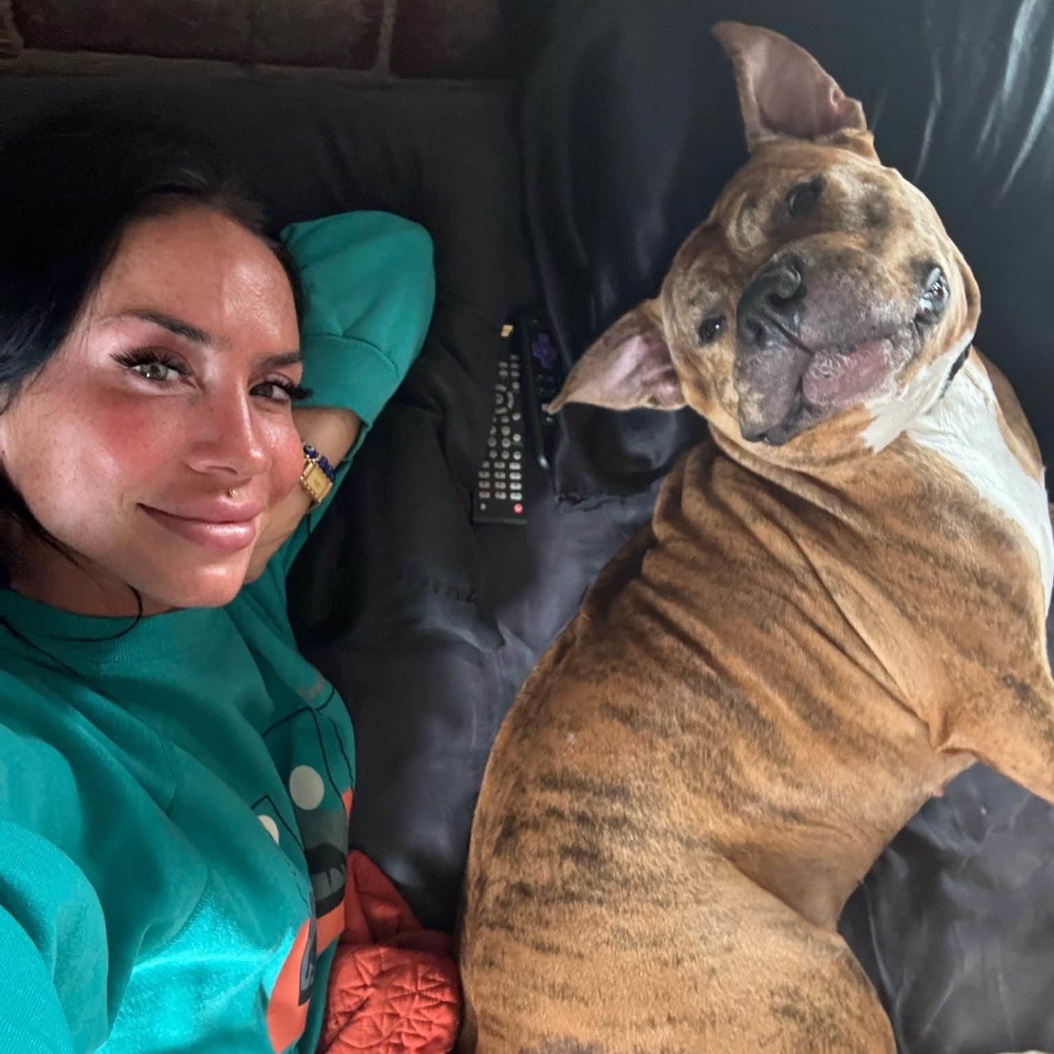 Romeo laying in bed with his owner