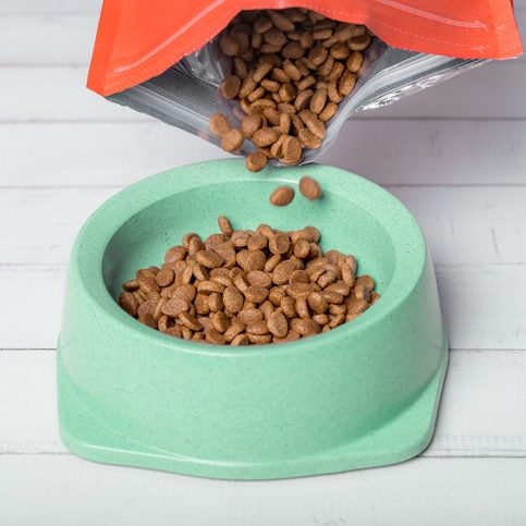 Pouring pet food into a bowl on the floor. Close-up.