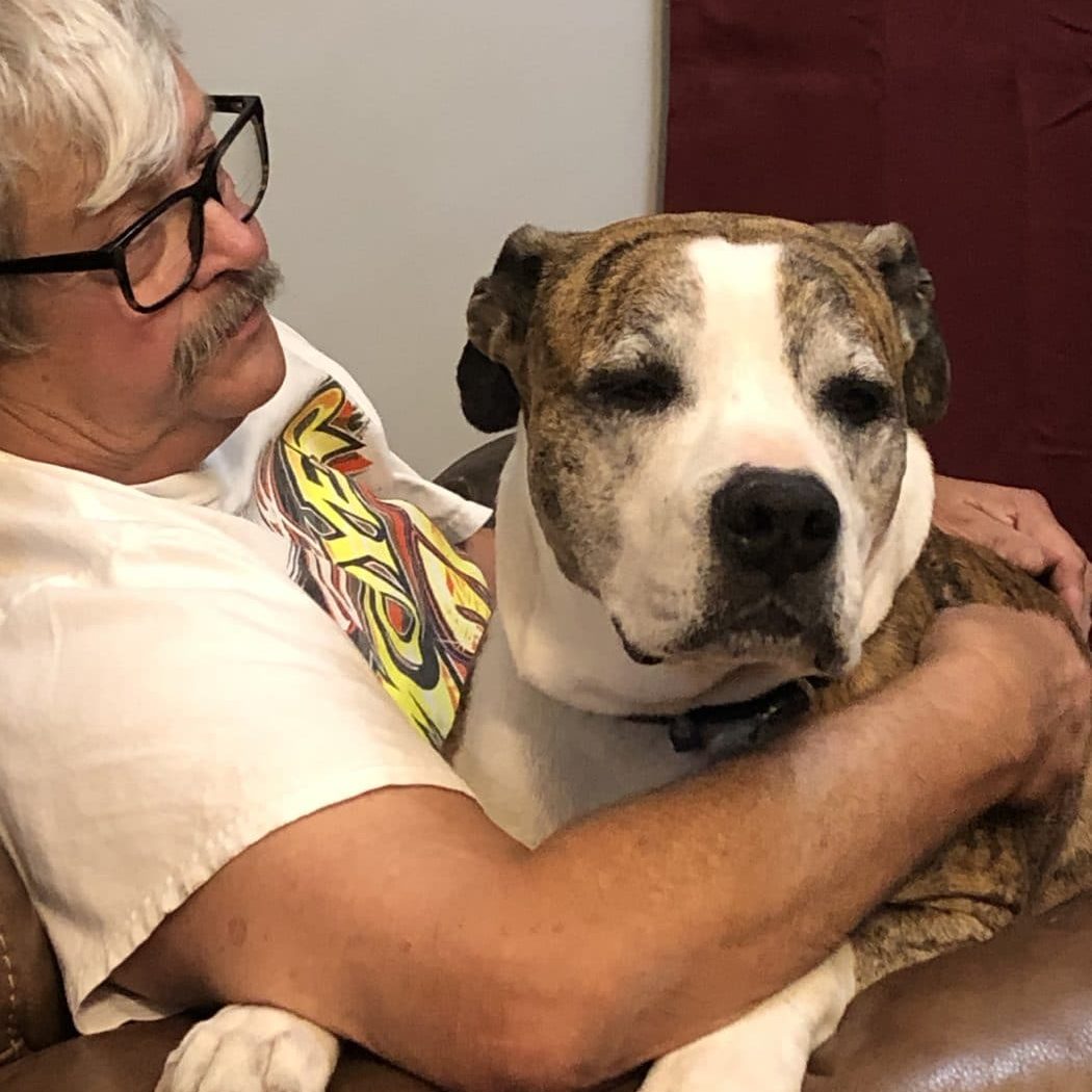 A dog cuddling with their owner in a chair