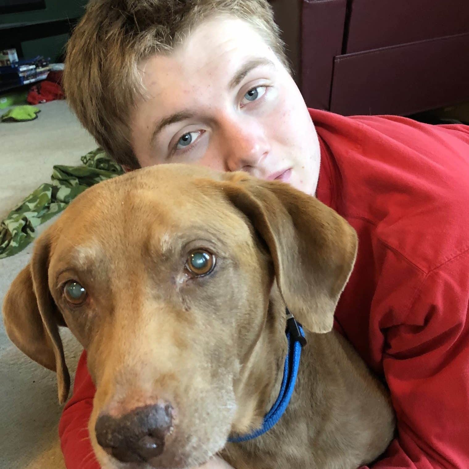 Trix the senior dog cuddling with his owner