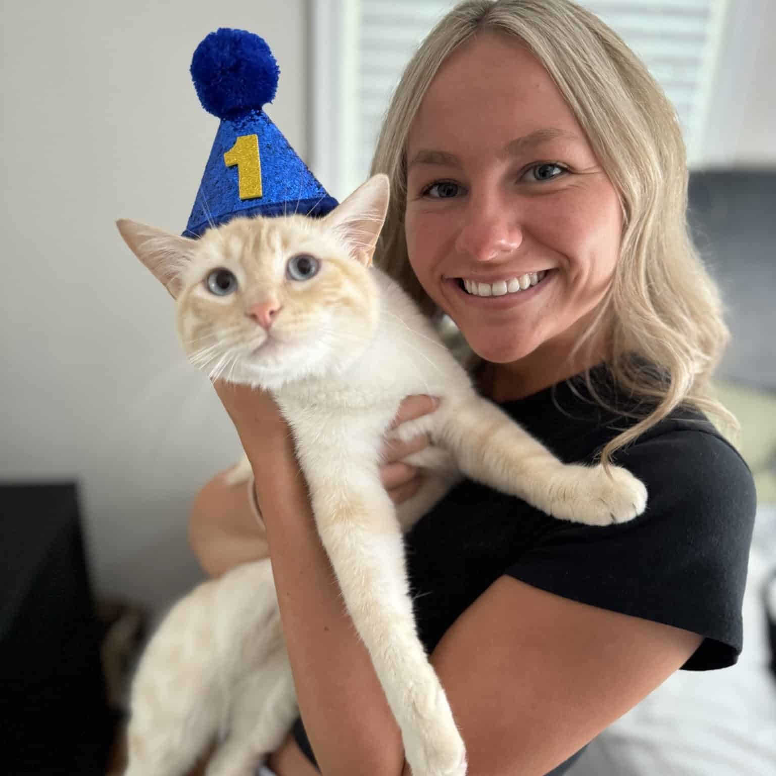 Archie the cat wearing a birthday hat and being held by his owner