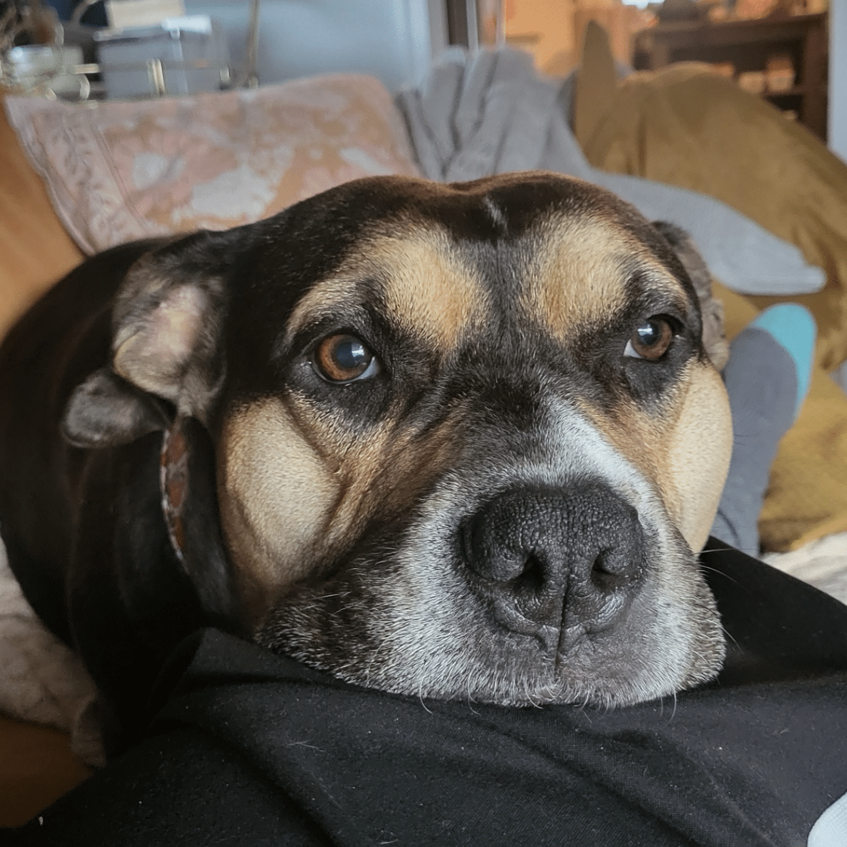 Screenshot 2025 10 03 At 2.39.06 PM