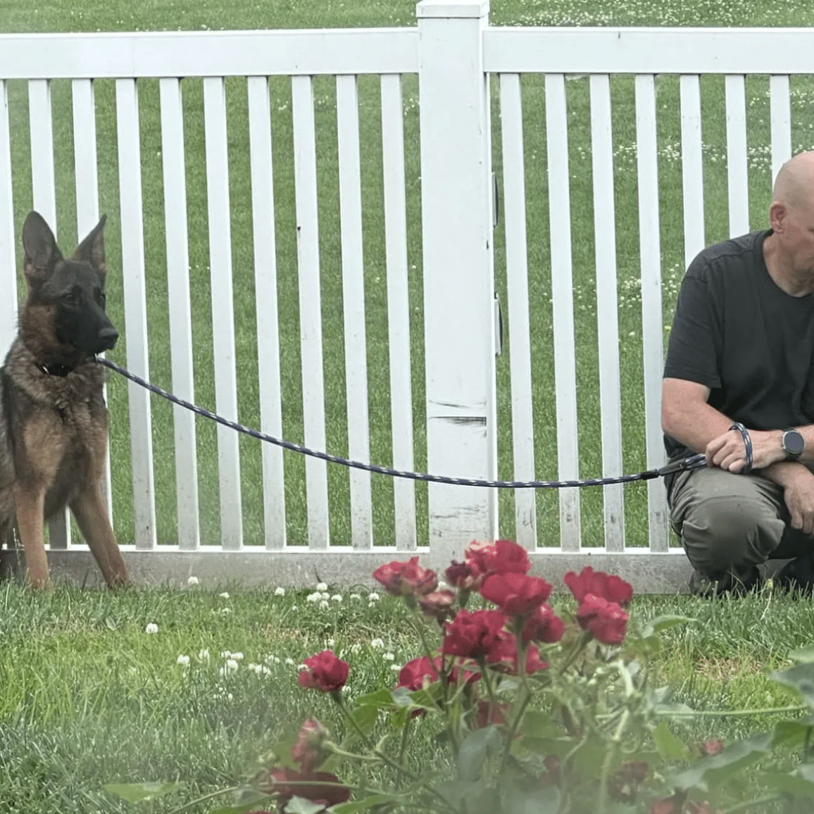 Dustin, employee of the year, sitting patiently with a scared dog