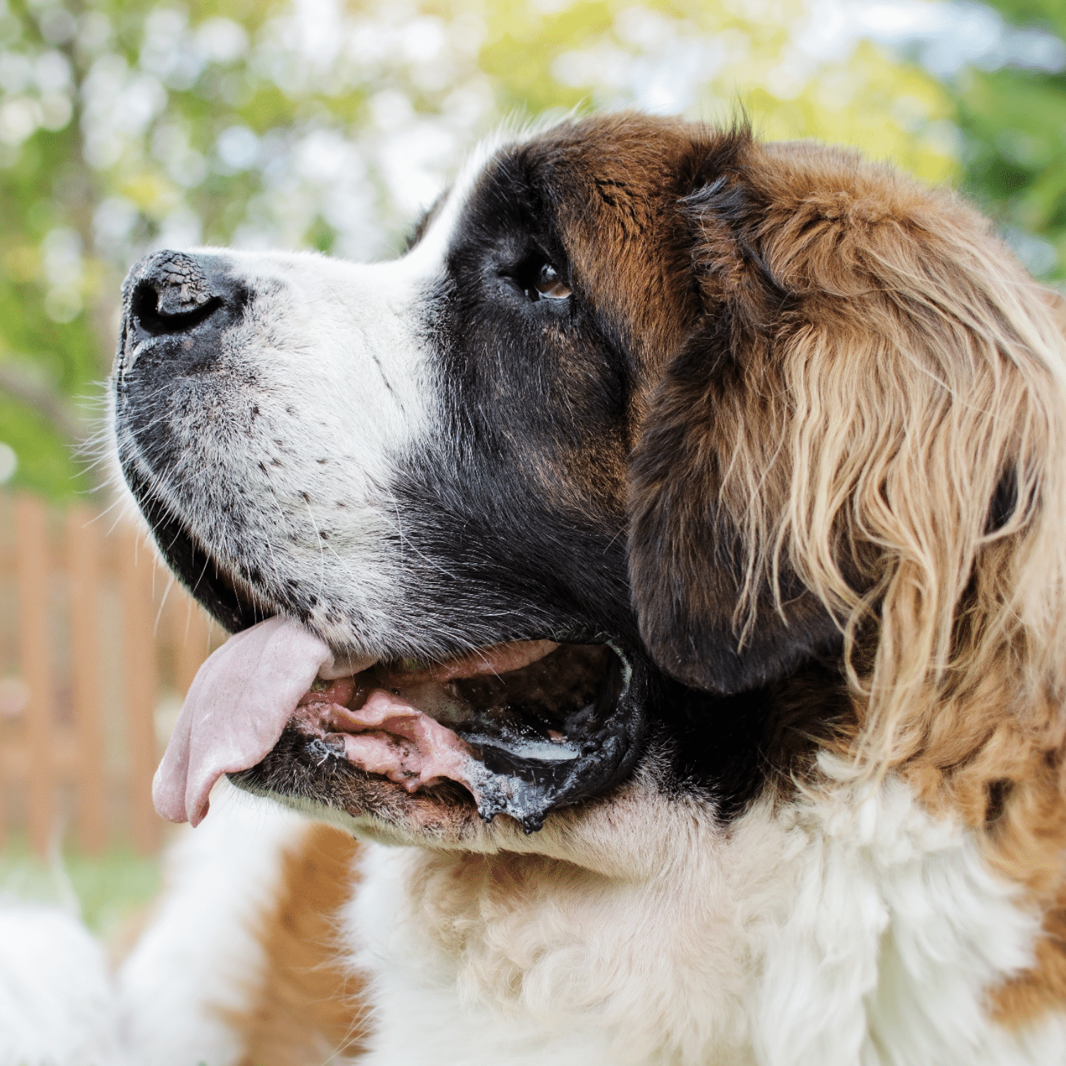 Screenshot 2025 10 03 At 3.34.52 PM