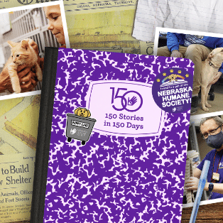 Screenshot 2025 10 03 At 3.54.50 PM