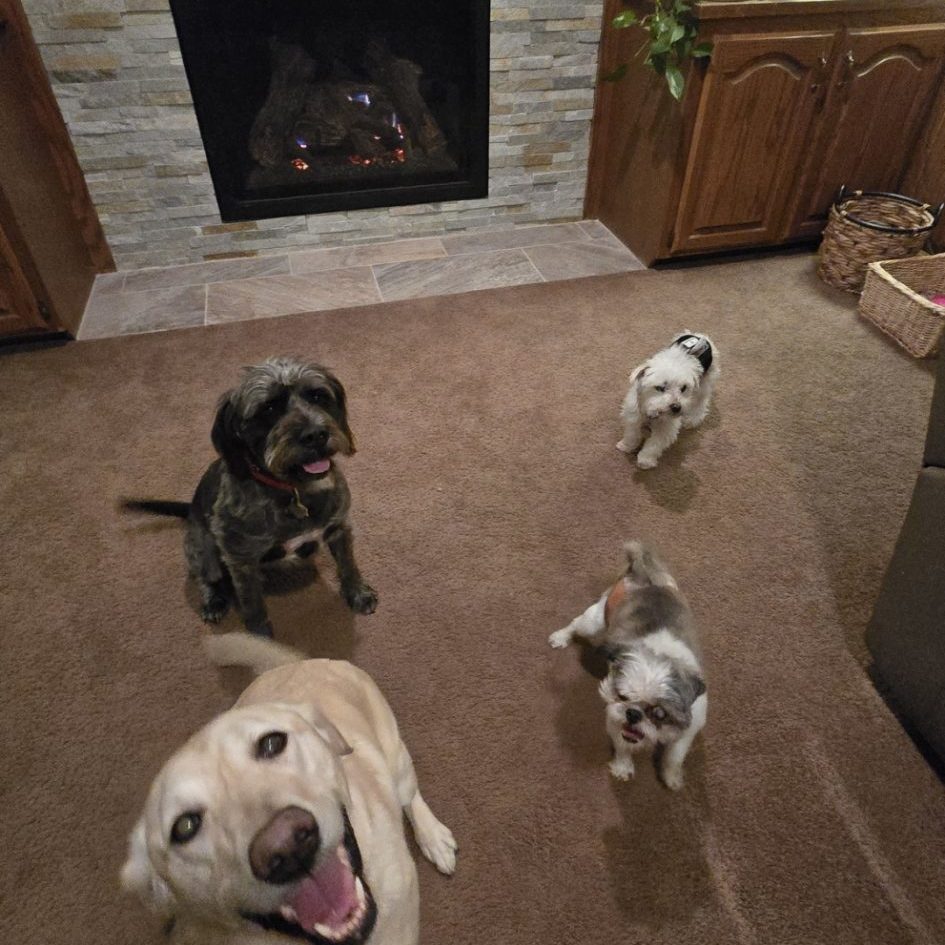 Screenshot 20250316 092433 Gallery