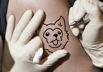 An arm with someone getting a tattoo of Minerva the chihuahua