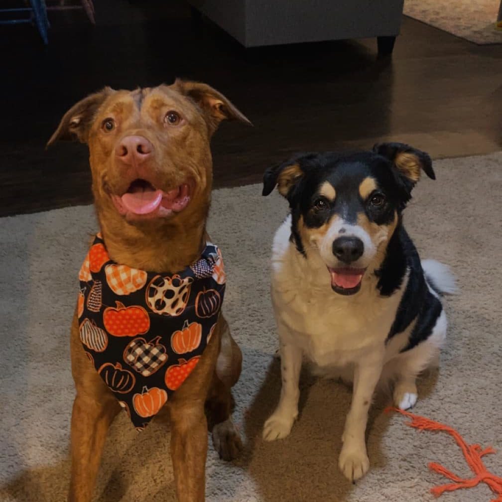 CjUKMVNuYXBjaGF0LzEzLjkuMC40MCAoaVBob25lMTIsMTsgaU9TIDE3LjYuMTsgZ3ppcCkgAg==