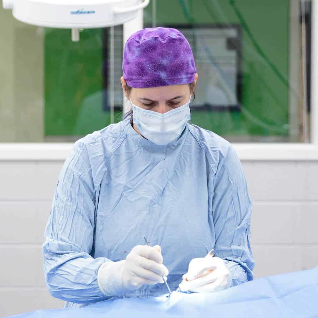 OMAHA -- 9/23/2015: Staged photos for the Nebraska Humane Society in Omaha, Nebraska, on September 23, 2015. (Photo by Matt Miller)